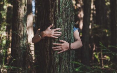 Recovering-from-Orthorexia-5-Things-to-Keep-in-Mind | Orri