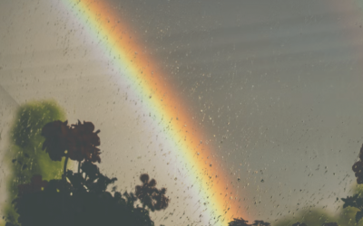 rainbow by a window