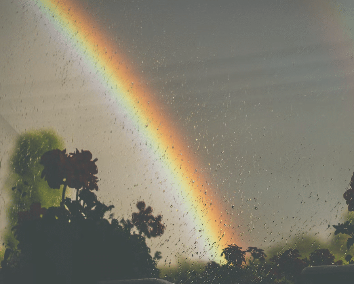 rainbow by a window