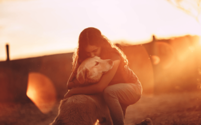 woman hugging dog by a sunset