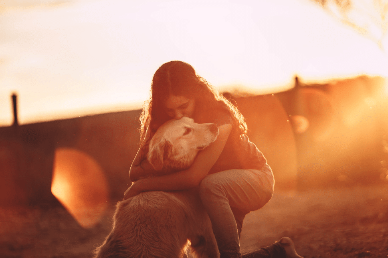 woman hugging dog by a sunset