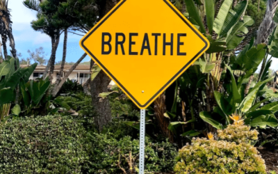 breathe yellow sign with a greenery backdrop