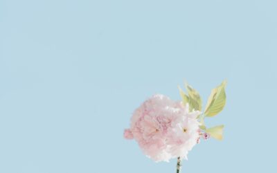 pexels-scott-webb-1098520 | Orri