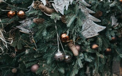 alisa-anton-tY3Lj9TYSak-unsplash | Orri Festive tree