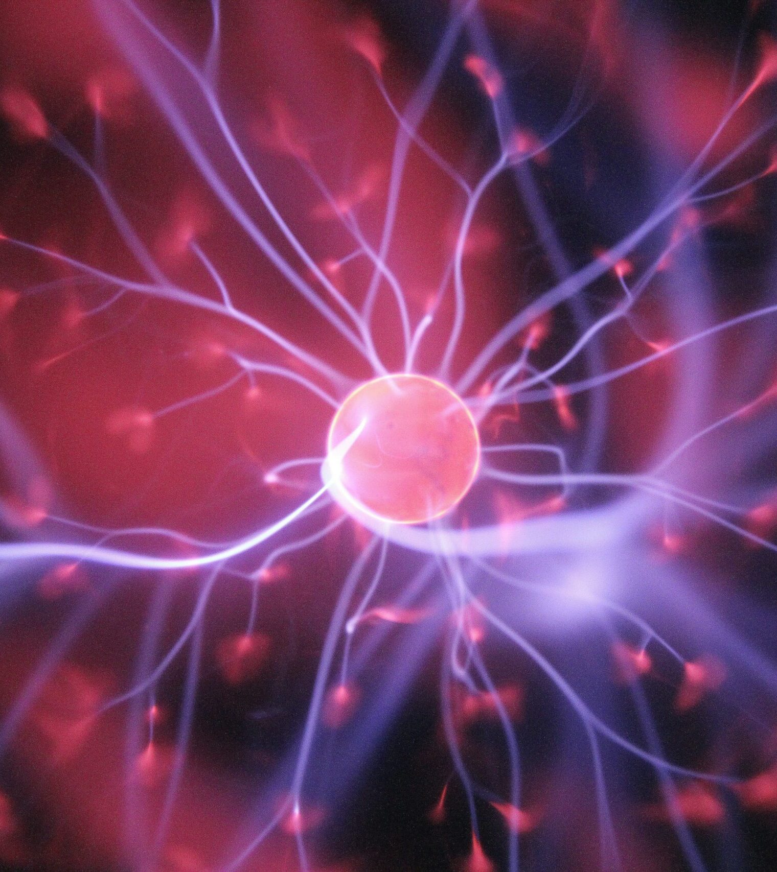 hal-gatewood-OgvqXGL7XO4-unsplash | Orri